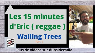 pochette-cover-artiste-Eric Kenboov-album-Les 15 minutes d'Eric Wailing Trees ( Part 2 ) | Album Insert Sun
